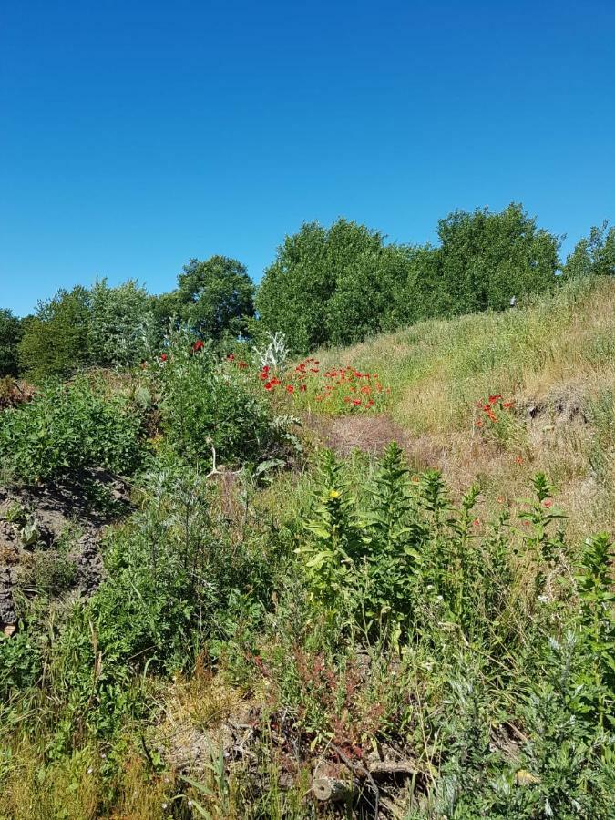 Urlaub Bei Hauenstein Lejlighed Born Eksteriør billede
